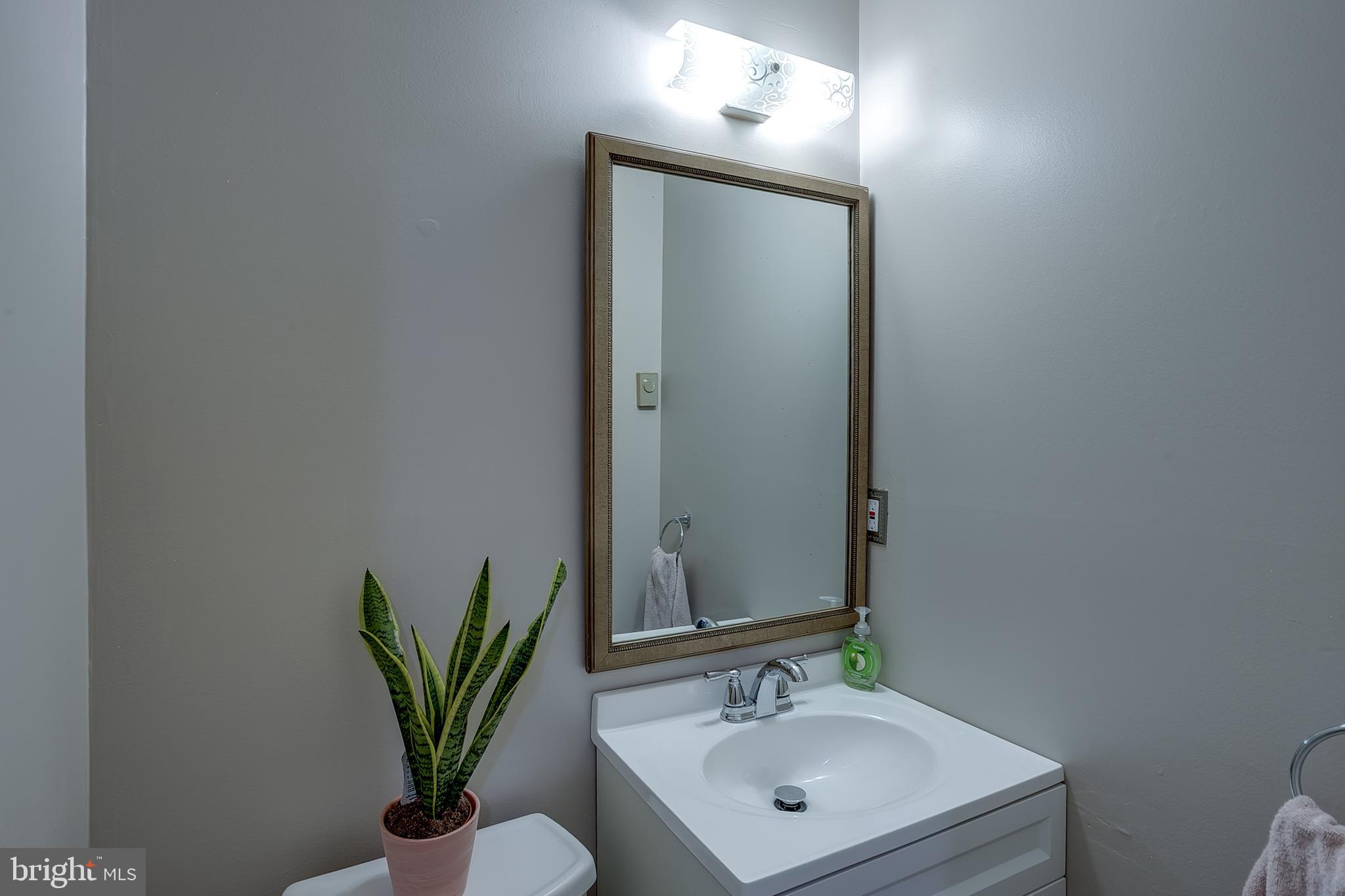 123 Wyndmere Road Marlton, NJ 08053 - Photo 18 of 31 a bathroom with a sink a mirror and a potted plant