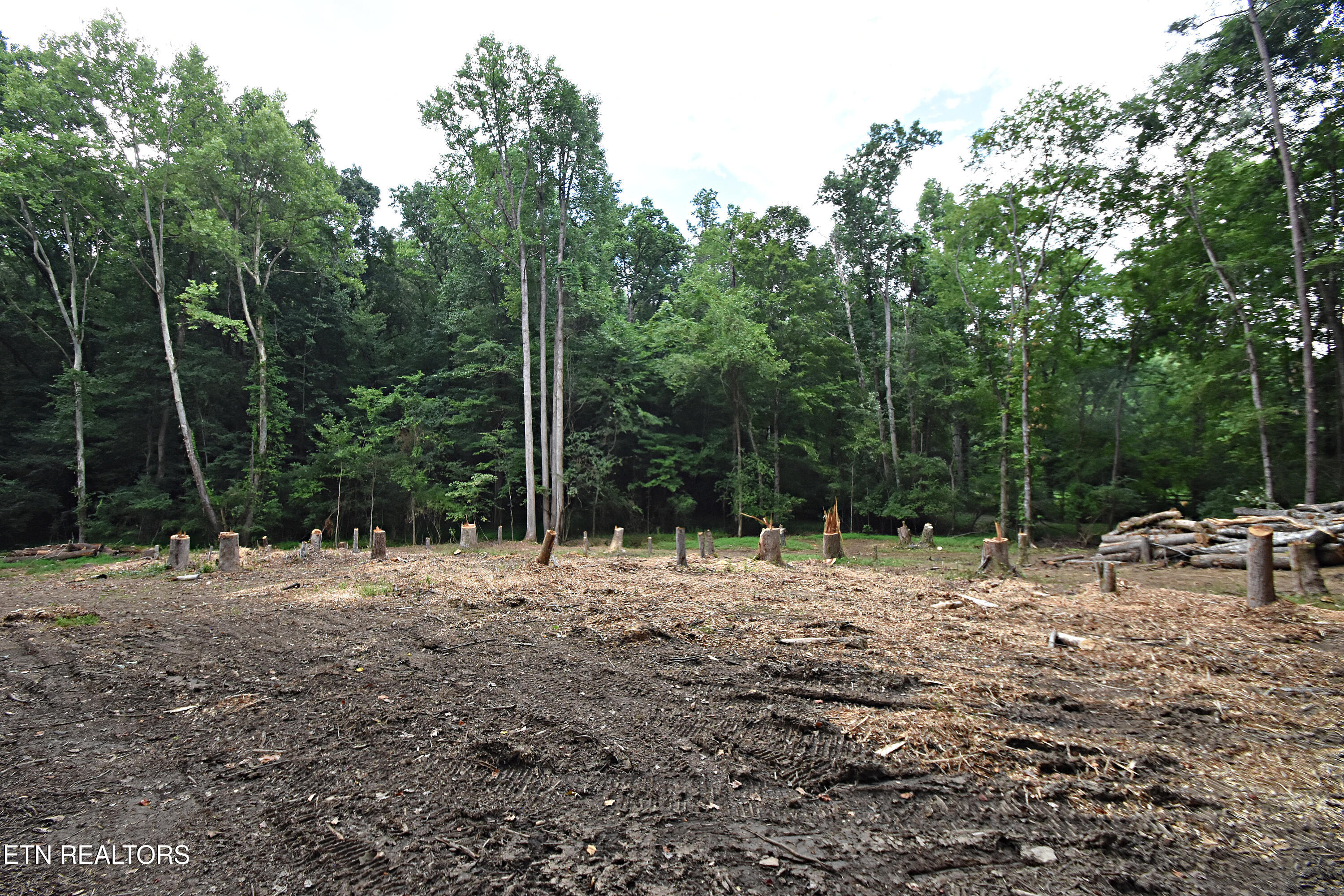 0 Early Road Tract 4