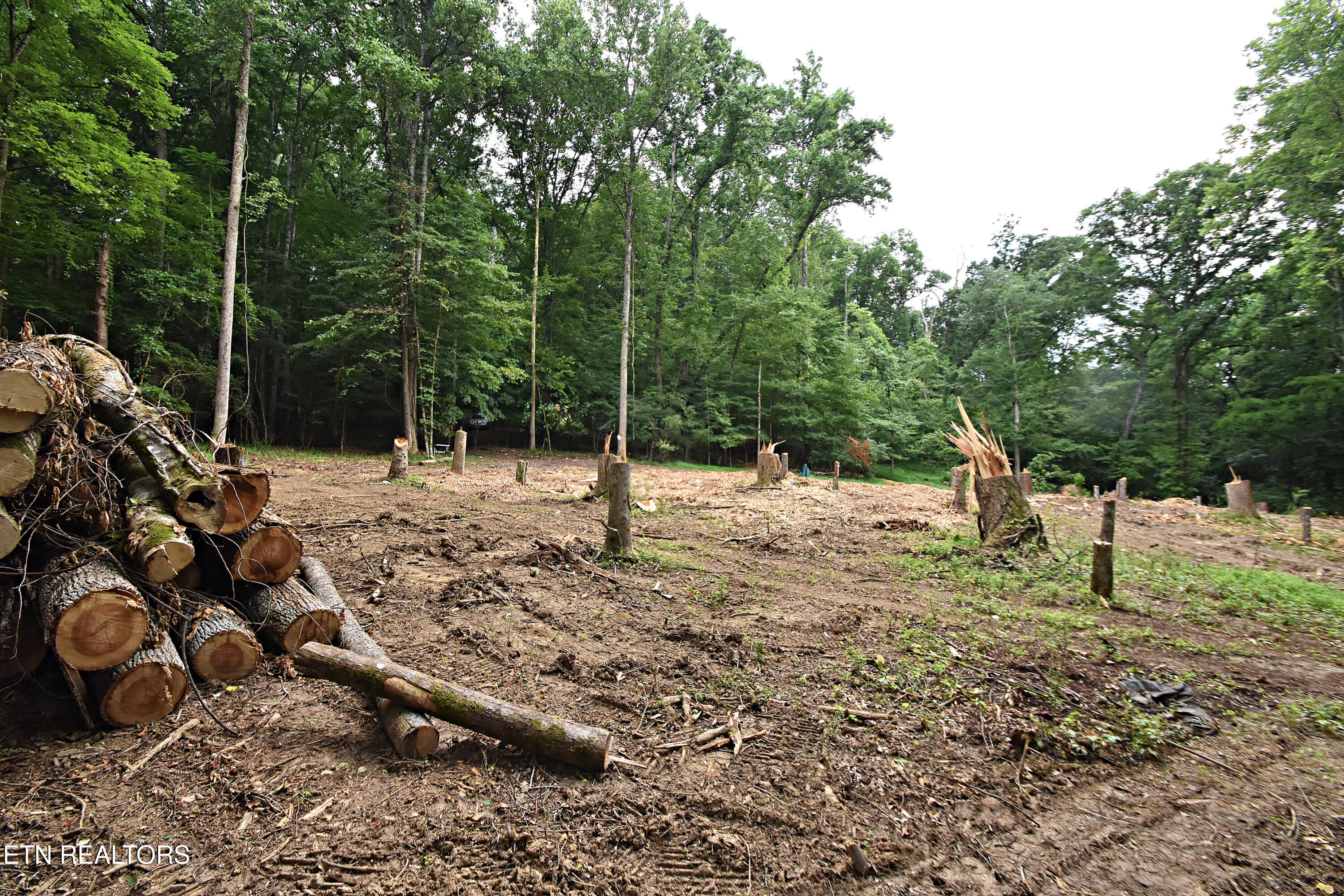 0 Early Road, Unit 4 Knoxville, TN 37922 - Photo 11 of 11 DSC_0302