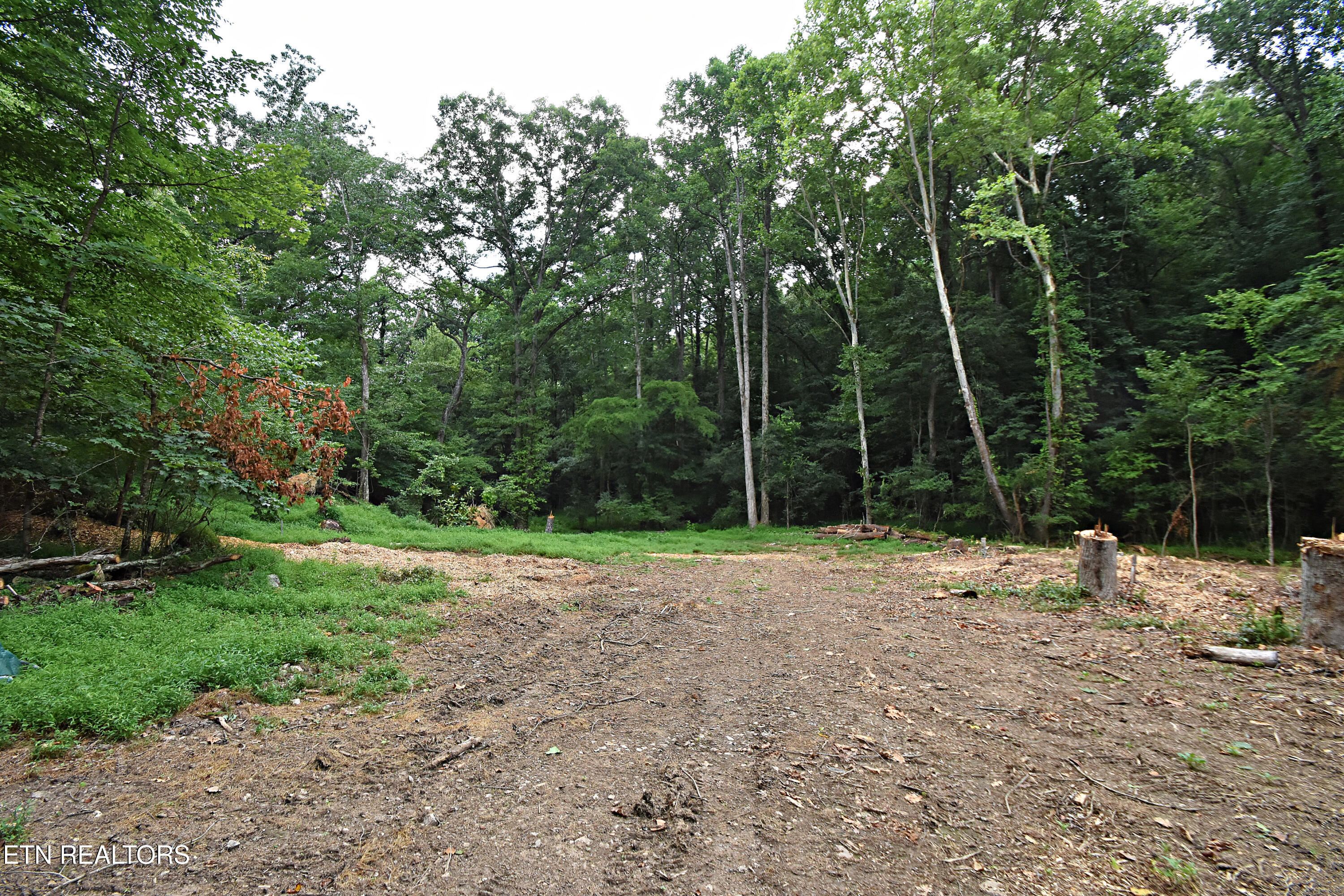 0 Early Road, Unit 4 Knoxville, TN 37922 - Photo 2 of 11 0 Early Road Tract 4