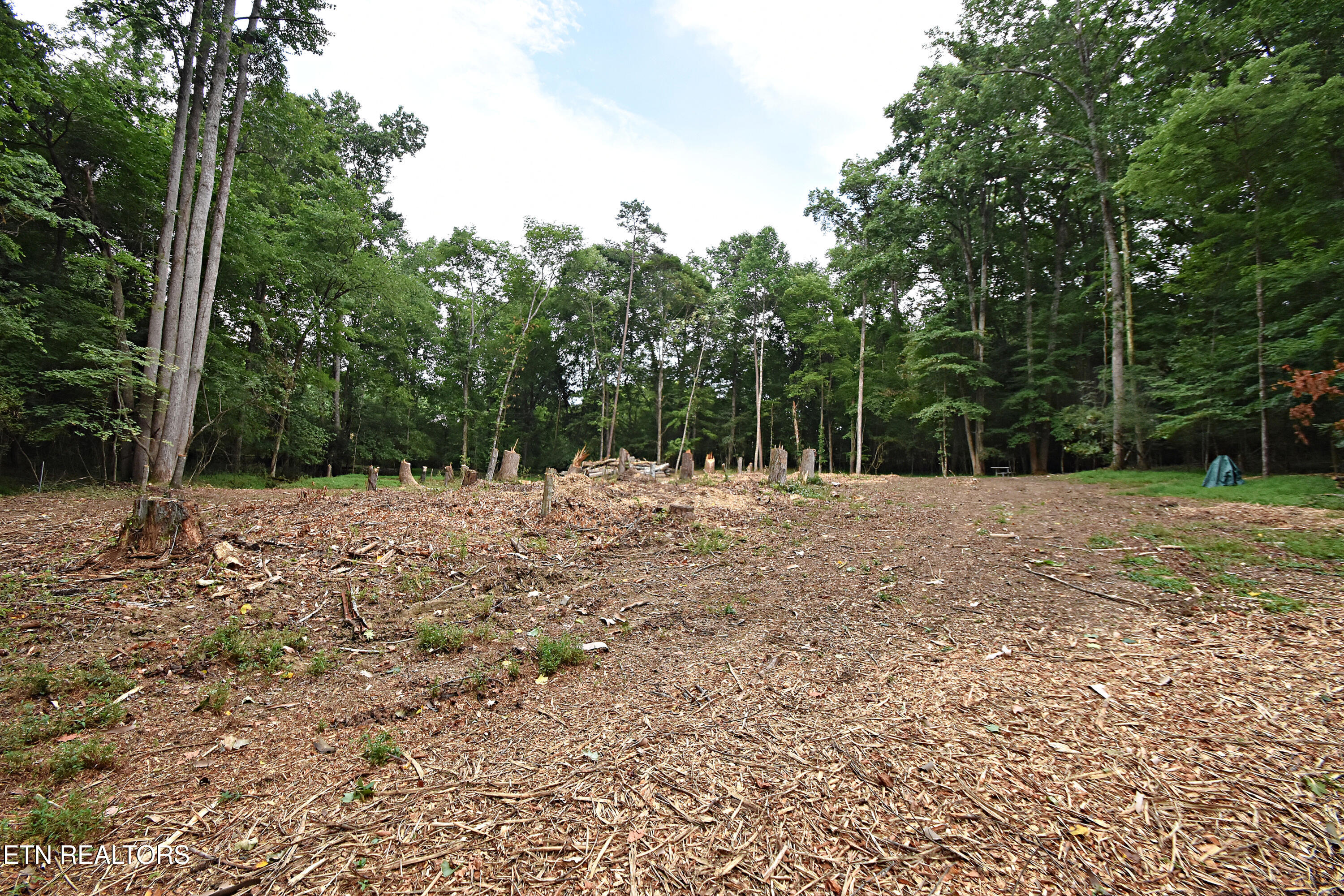 0 Early Road, Unit 4 Knoxville, TN 37922 - Photo 3 of 11 0 Early Road Tract 4