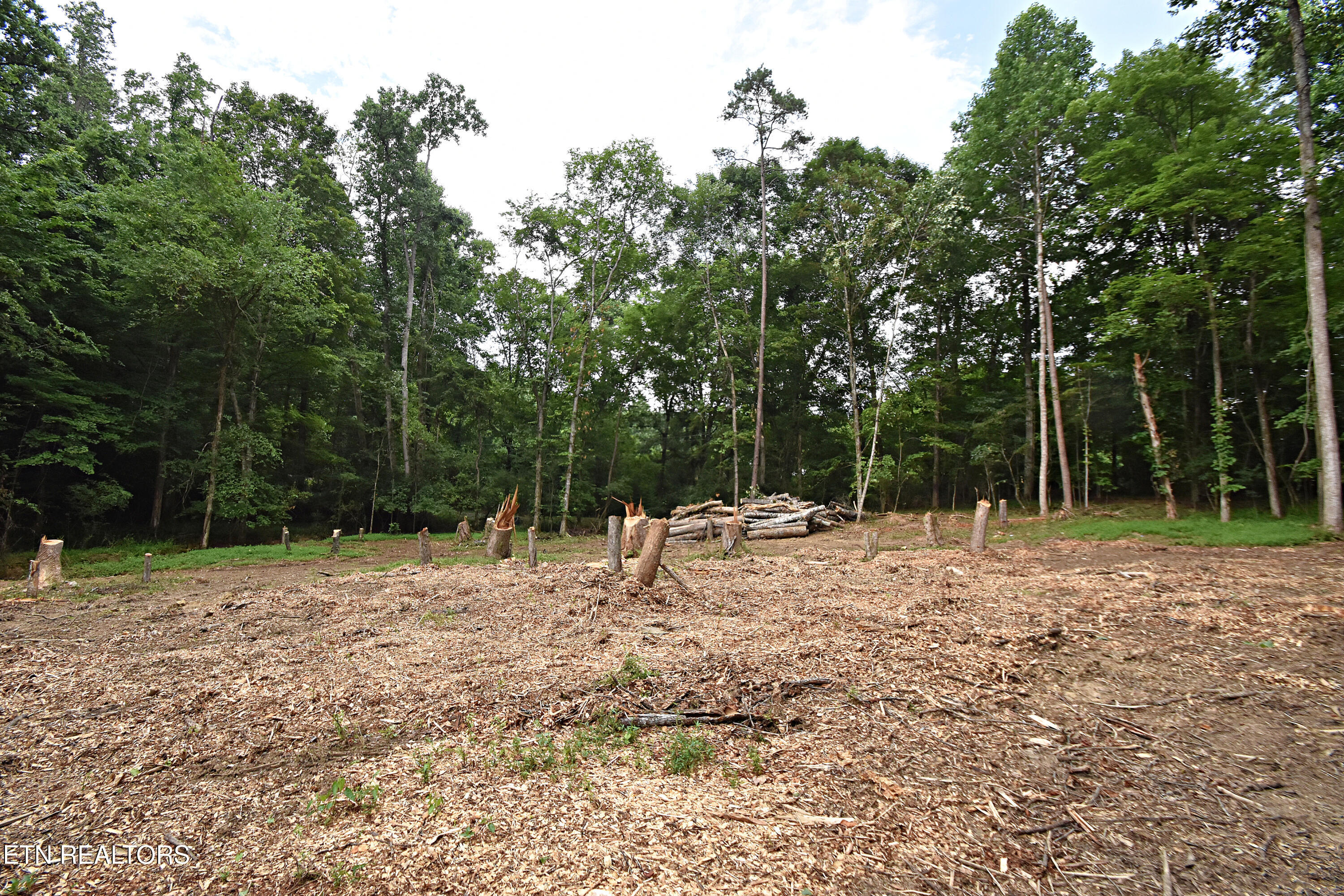 0 Early Road, Unit 4 Knoxville, TN 37922 - Photo 4 of 11 0 Early Road Tract 4