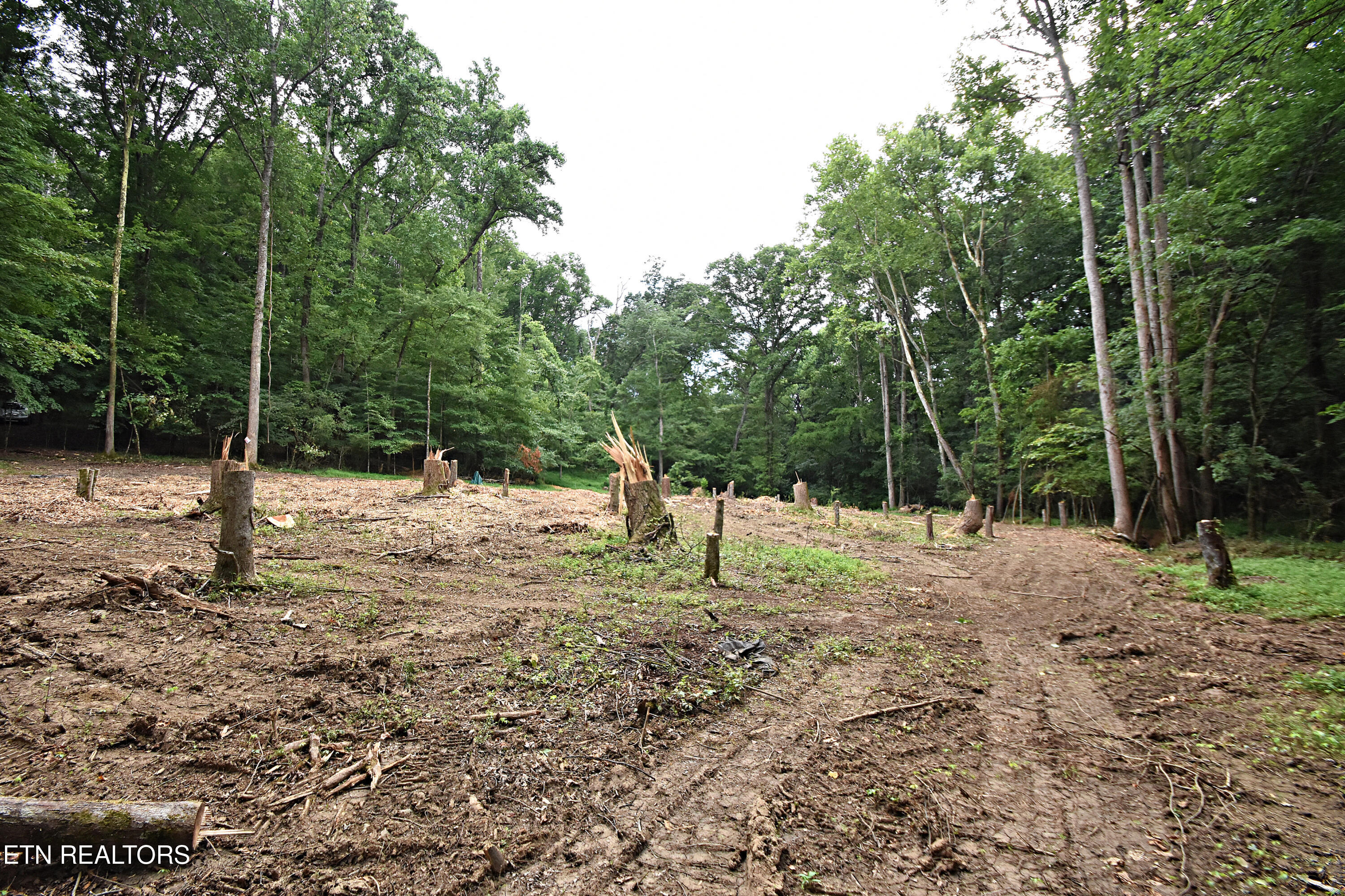 0 Early Road, Unit 4 Knoxville, TN 37922 - Photo 5 of 11 0 Early Road Tract 4