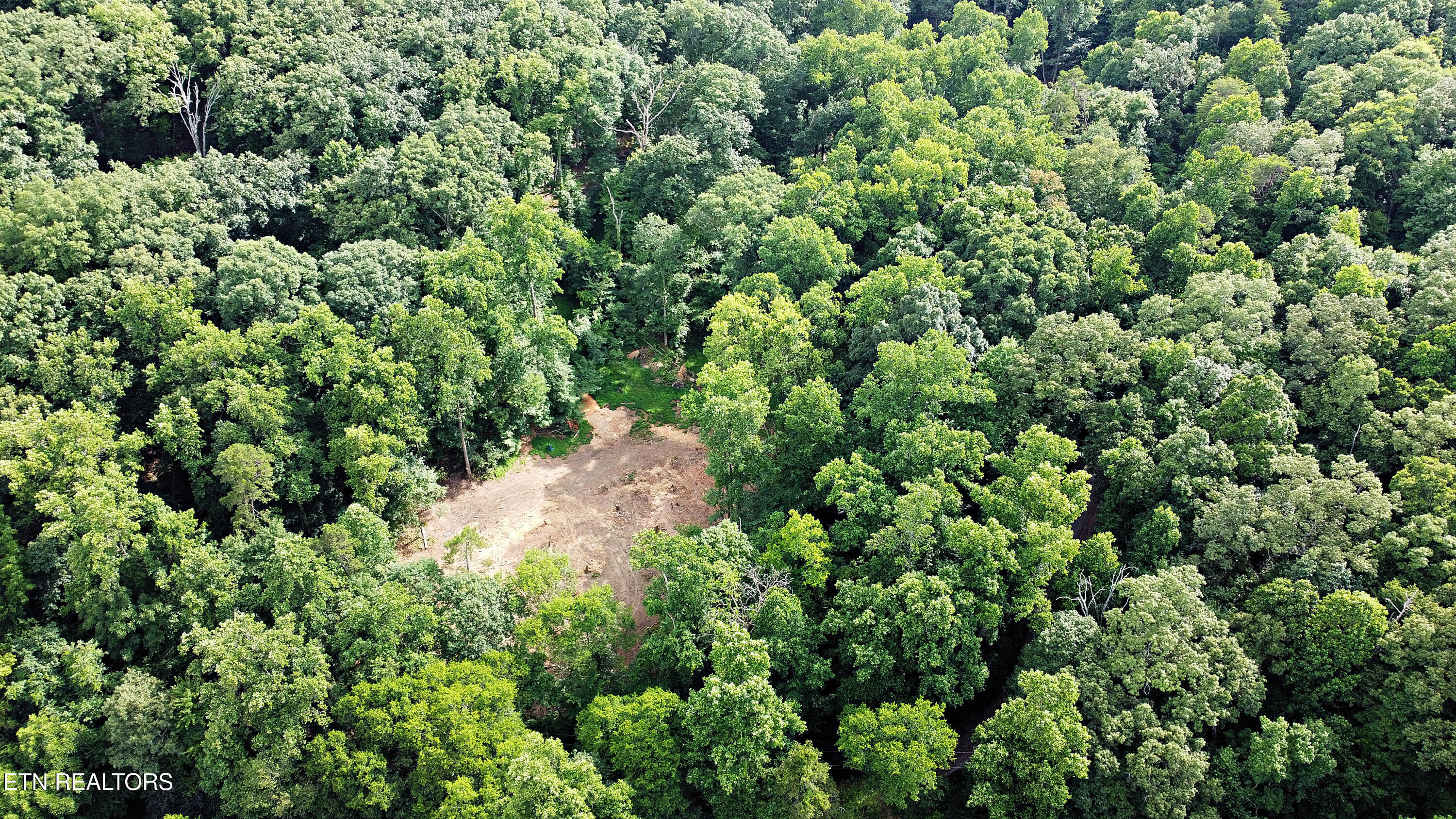 0 Early Road, Unit 4 Knoxville, TN 37922 - Photo 8 of 11 0 Early Road Tract 4