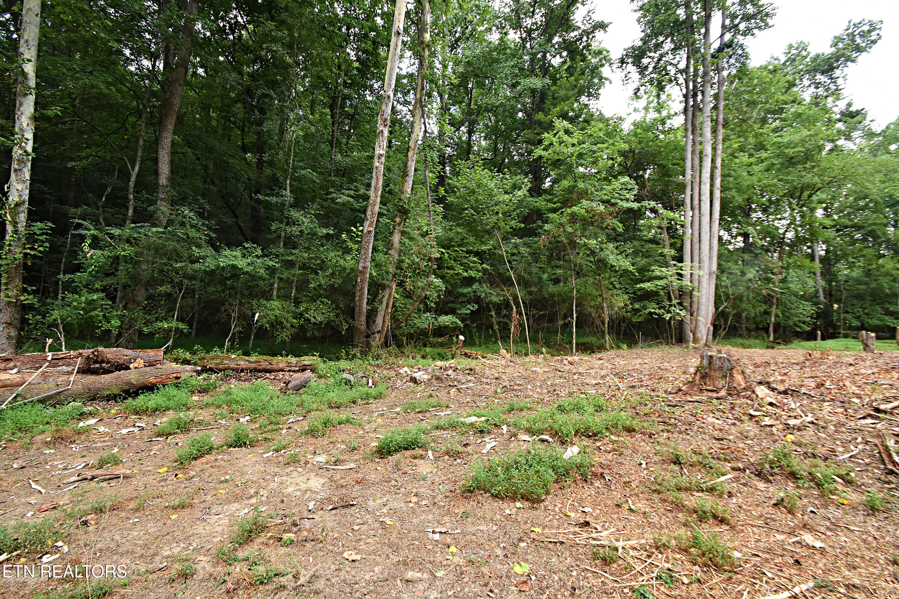 0 Early Road, Unit 4 Knoxville, TN 37922 - Photo 10 of 11 0 Early Road Tract 4