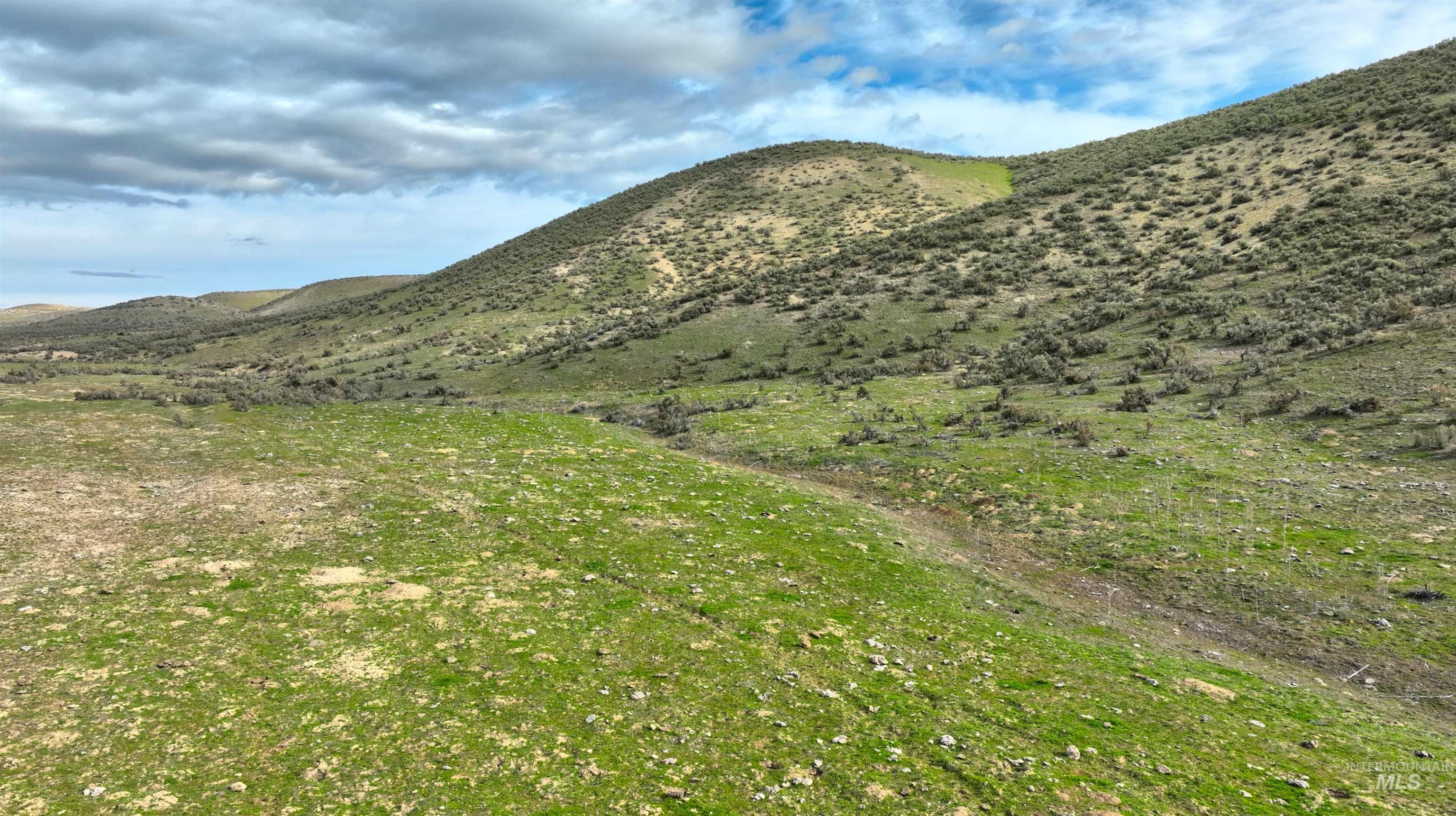 Tbd Bully Creek Road Vale, OR 97918 - Photo 14 of 16 Mountain view