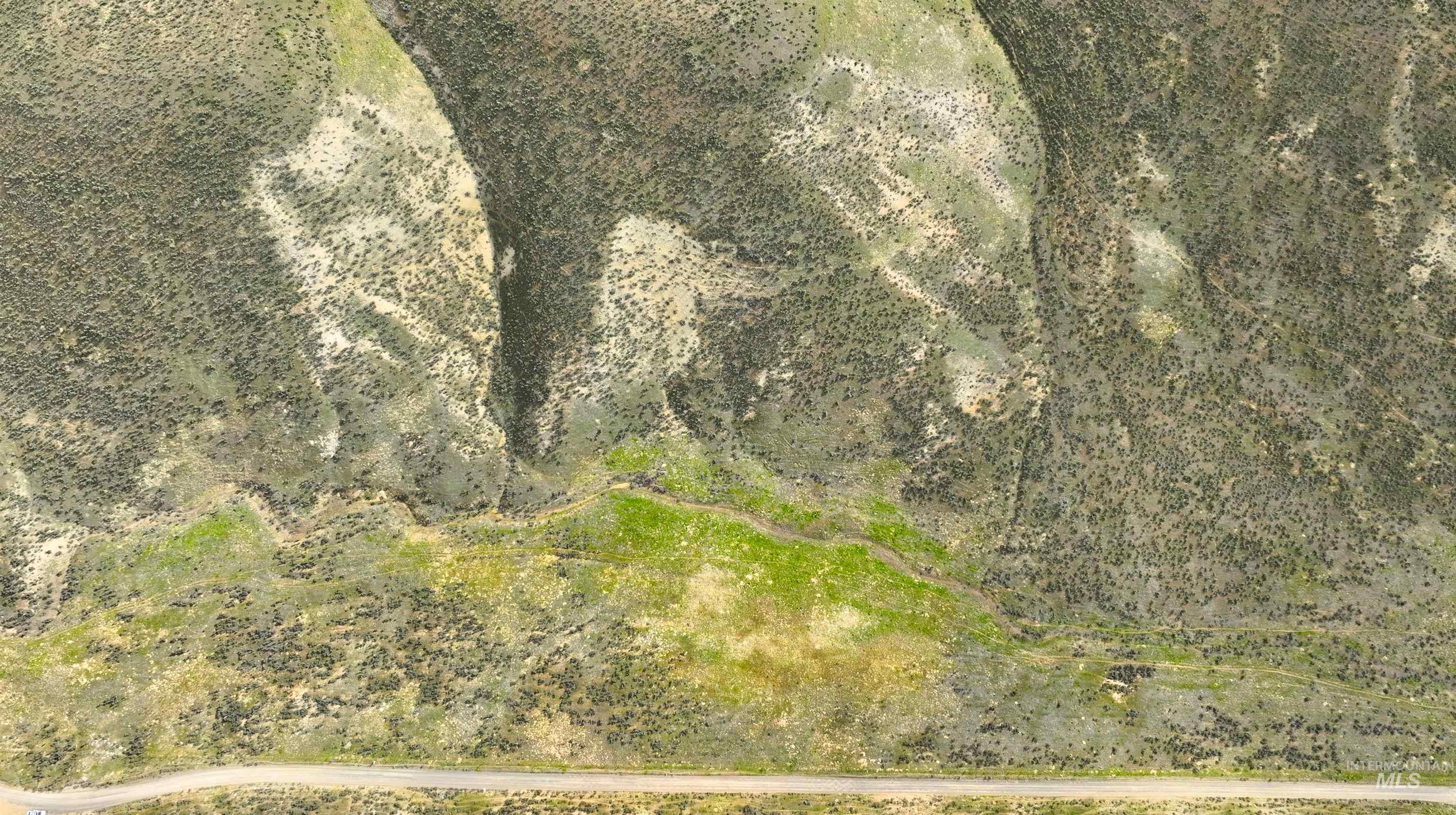 Tbd Bully Creek Road Vale, OR 97918 - Photo 16 of 16 View of undeveloped land