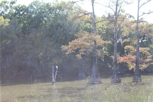 $498,900 | 292 Woodson Landing Road, Deville, LA 71328