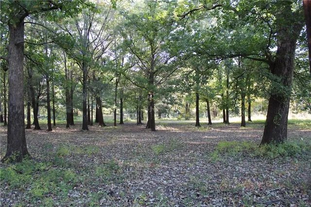 $498,900 | 292 Woodson Landing Road, Deville, LA 71328