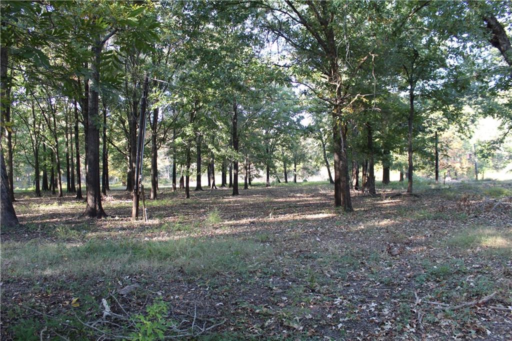 292 Woodson Landing Road Deville, LA 71328 - Photo 27 of 31