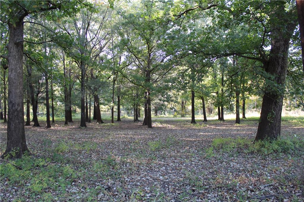 292 Woodson Landing Road Deville, LA 71328 - Photo 31 of 31