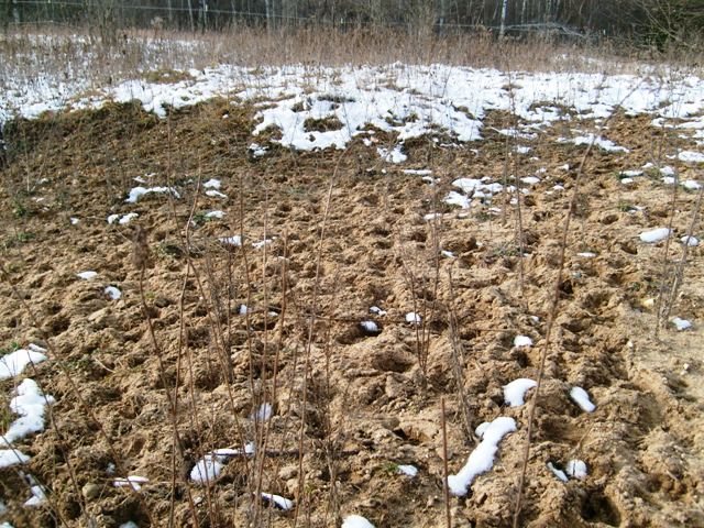 6434 Maple Hill Road Southwest Fife Lake, MI 49633 - Photo 72 of 73 1825651-71.JPG