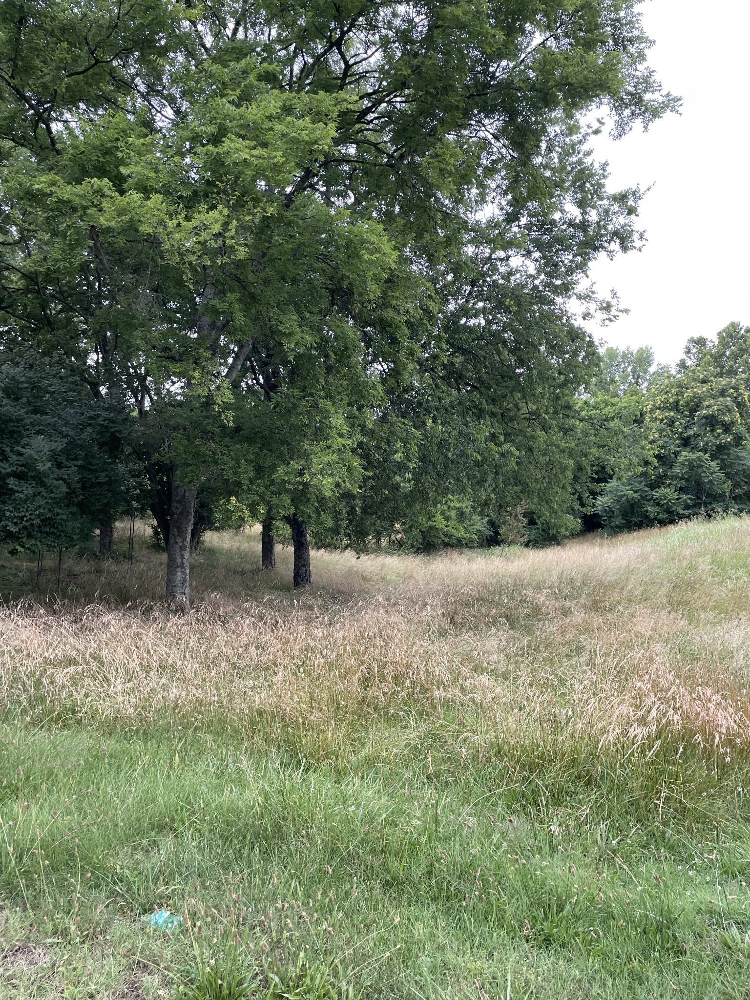 1555 Hudson Road Madison, TN 37115 - Photo 10 of 12 Gallery Image 10