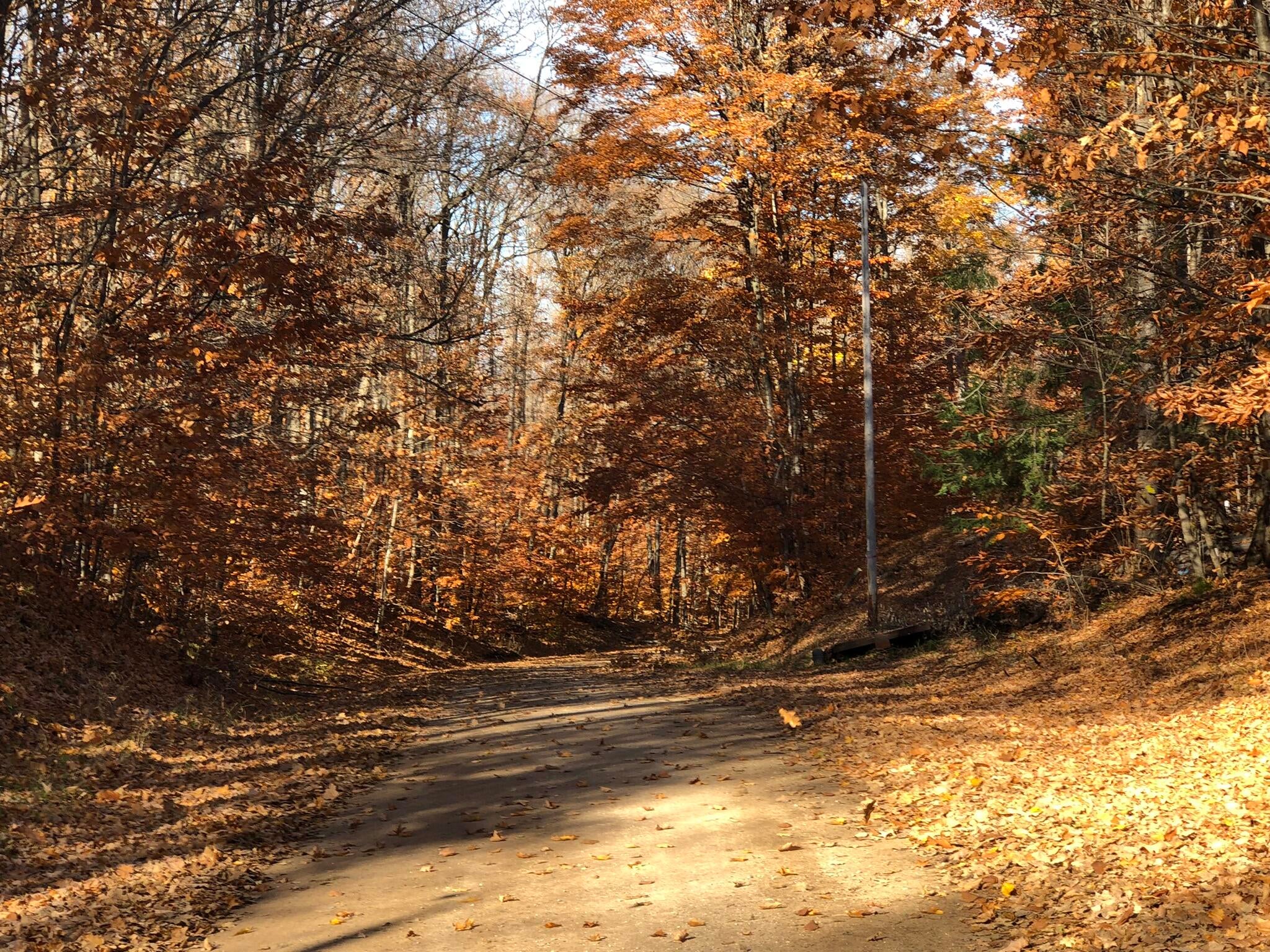 Crump Road Alanson, MI 49706 - Photo 13 of 17 Gallery Image 13