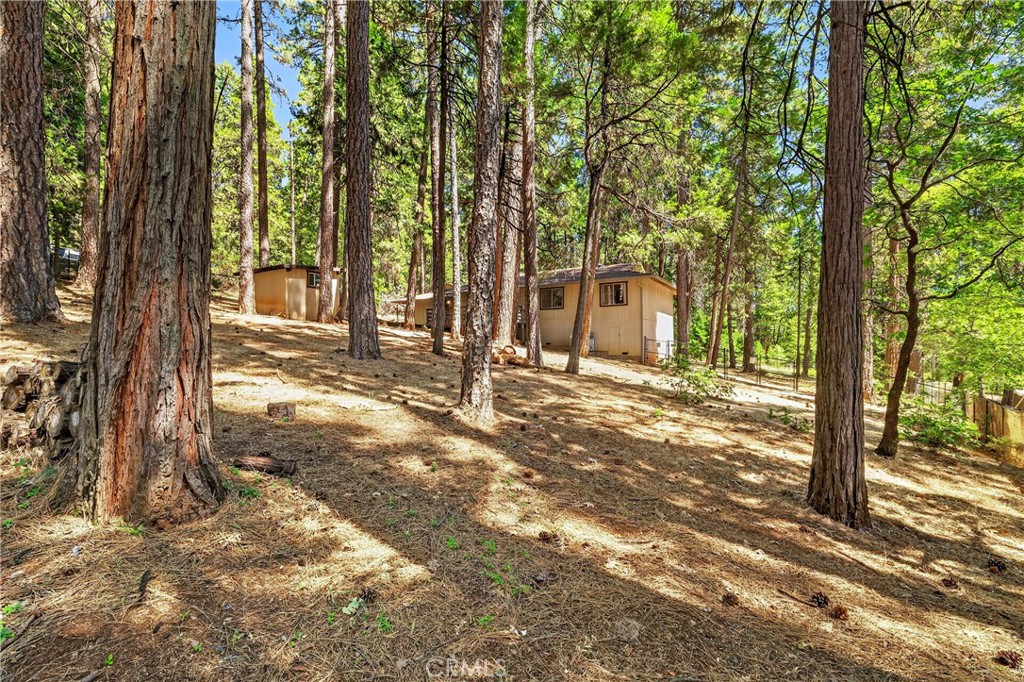 15383 Forest Ranch Way Forest Ranch, CA 95942 - Photo 21 of 29