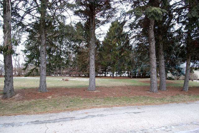 9-n089 Corron Road Elgin, IL 60124 - Photo 11 of 14