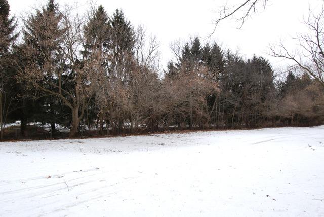 9-n089 Corron Road Elgin, IL 60124 - Photo 12 of 14