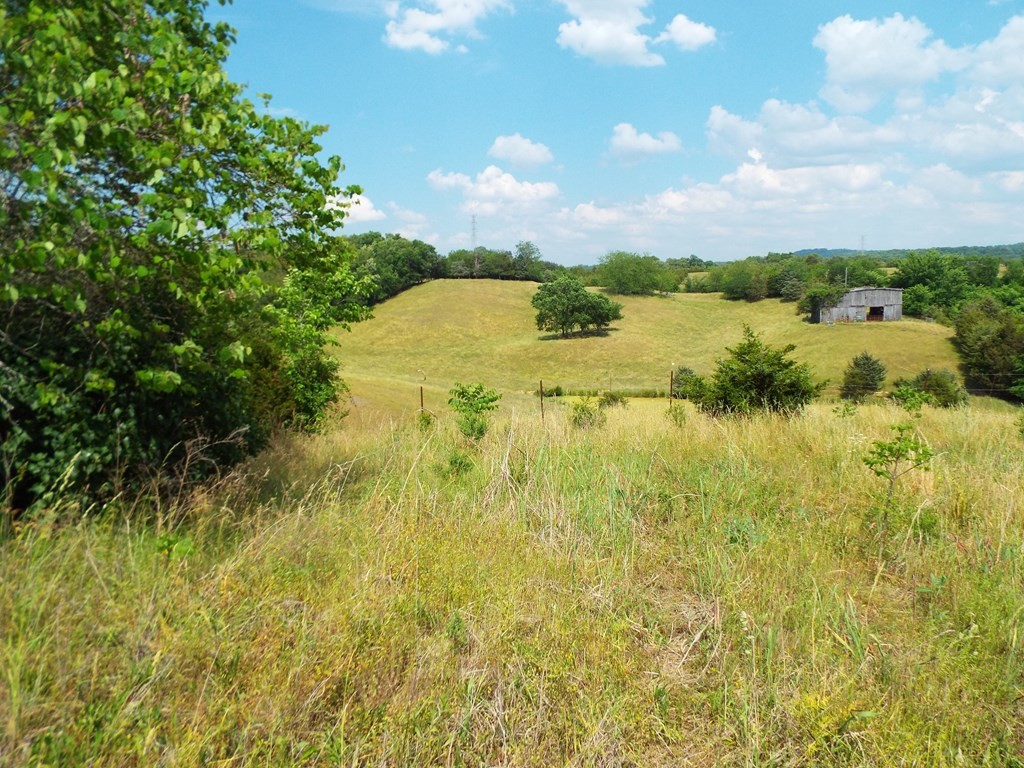 2598 South Wesley Chapel Road Greeneville, TN 37745 - Photo 14 of 17