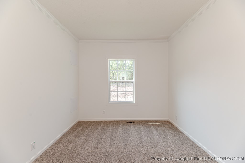 175 Mickey Rouse Lane Cameron, NC 28326 - Photo 38 of 40 Gallery Image 38