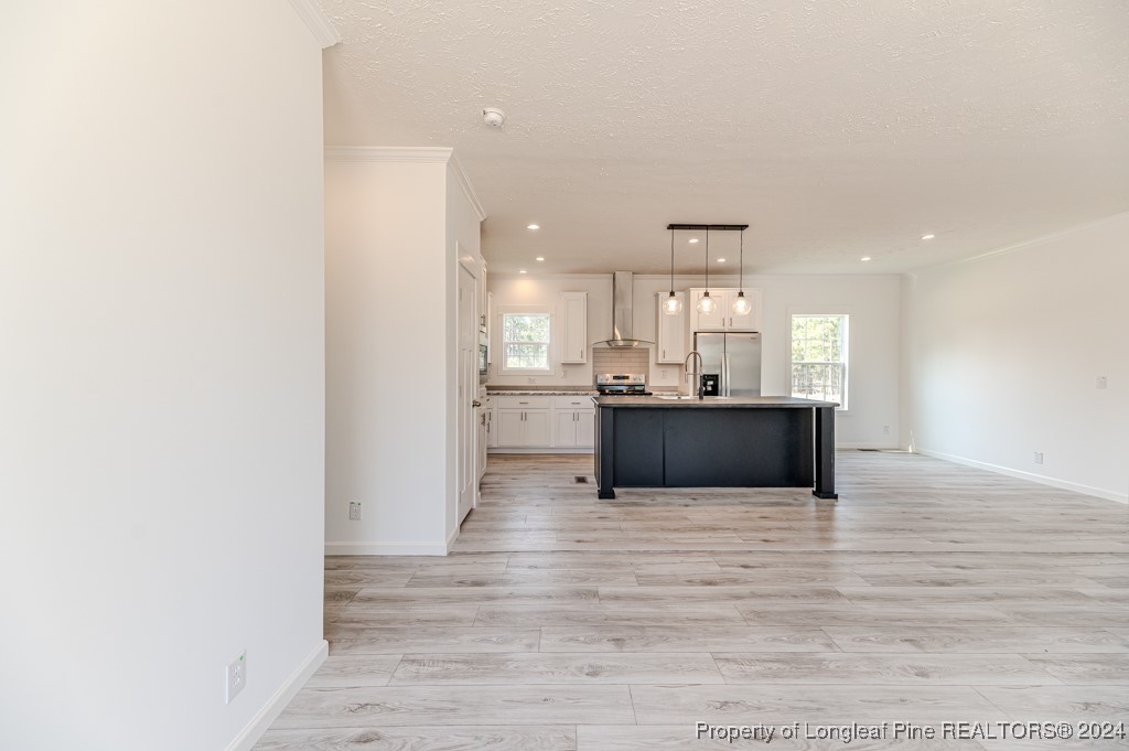 175 Mickey Rouse Lane Cameron, NC 28326 - Photo 8 of 40 Gallery Image 8