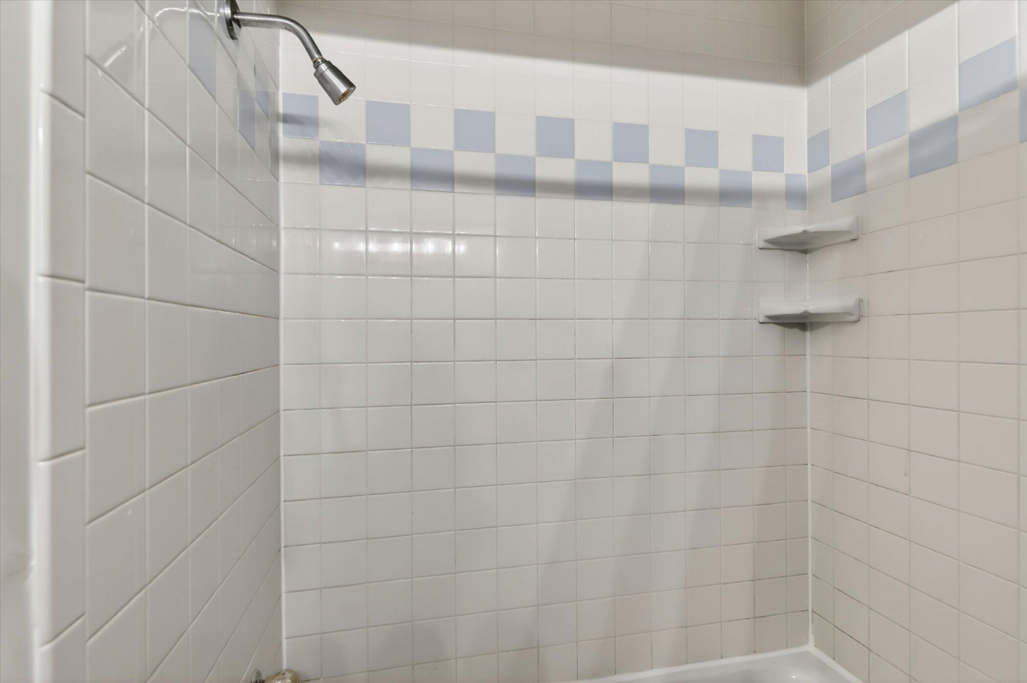 814 North Drake Road Kalamazoo, MI 49006 - Photo 23 of 45 Shower