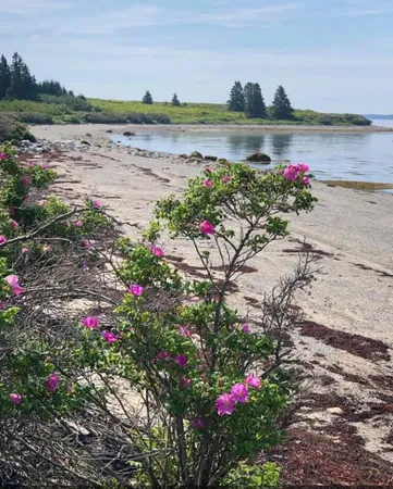 $595,000 | 2 Bar Island, Bernard, ME 04612