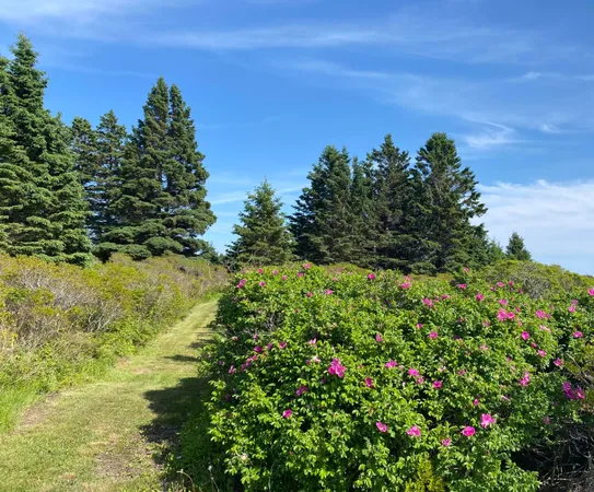 $595,000 | 2 Bar Island, Bernard, ME 04612
