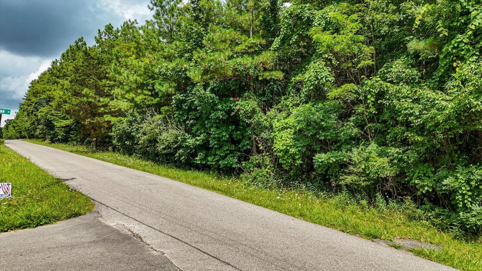 0 Coca-Cola Road Dunlap, TN 37327 - Photo 17 of 20