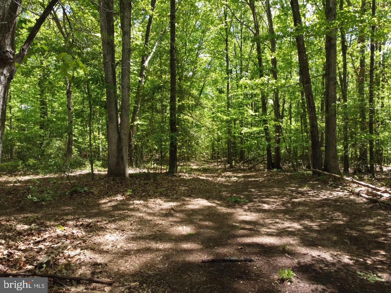 Tatum Road Unionville, VA 22567 - Photo 10 of 18