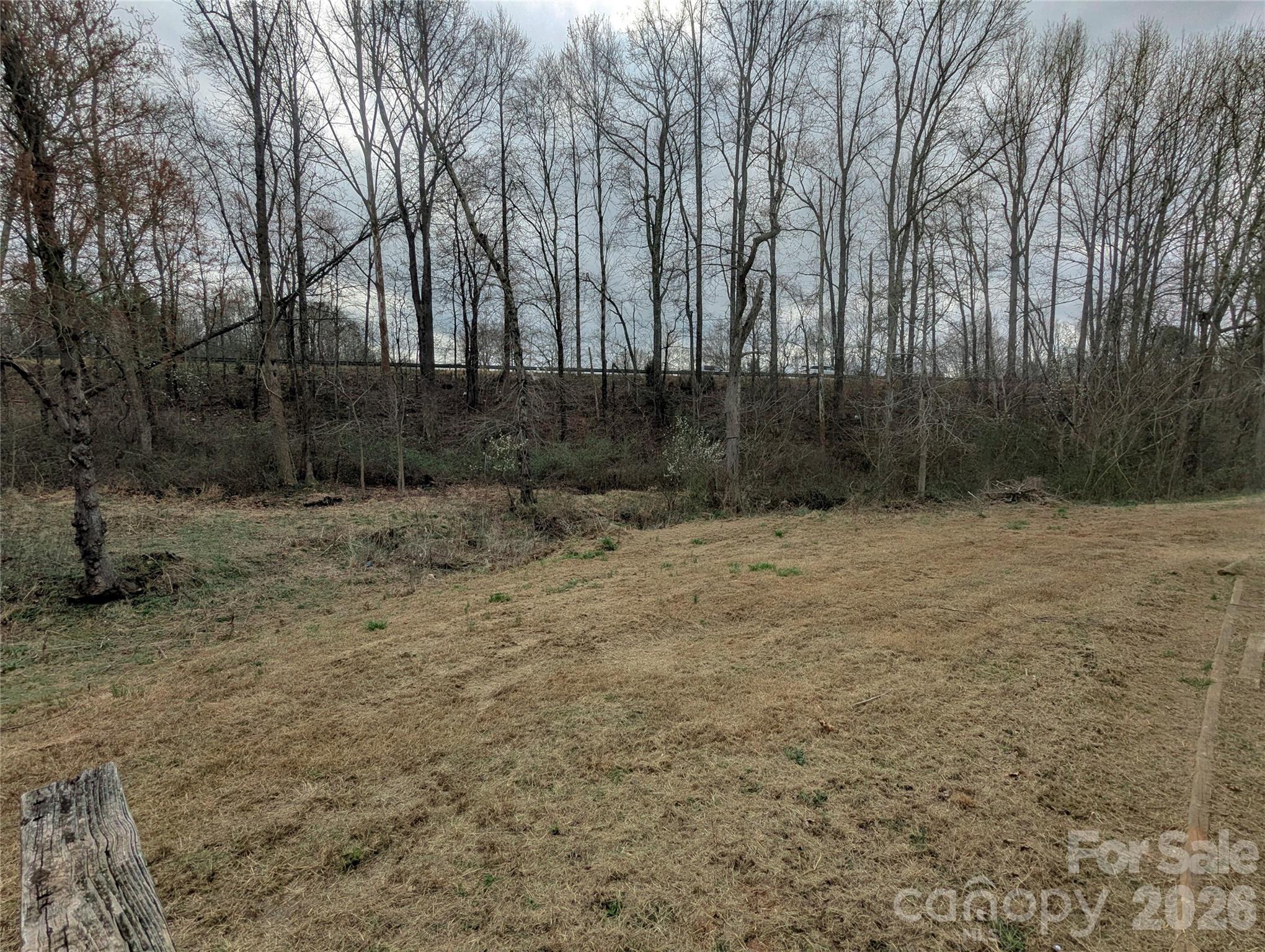 565 Jm Lovelace Road Ellenboro, NC 28040 - Photo 7 of 42 a view of backyard with green space
