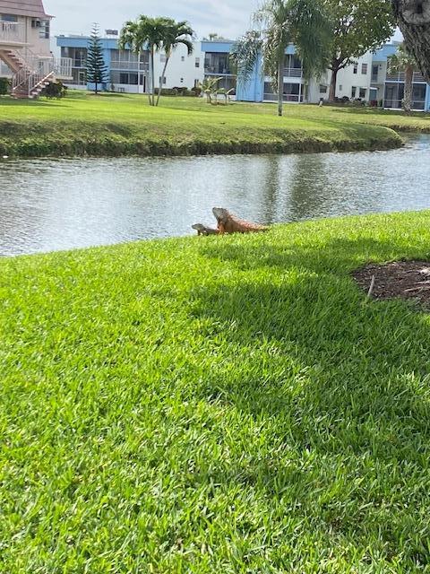 349 Flanders South Delray Beach, FL 33484 - Photo 2 of 26 a view of a lake with a house in the background