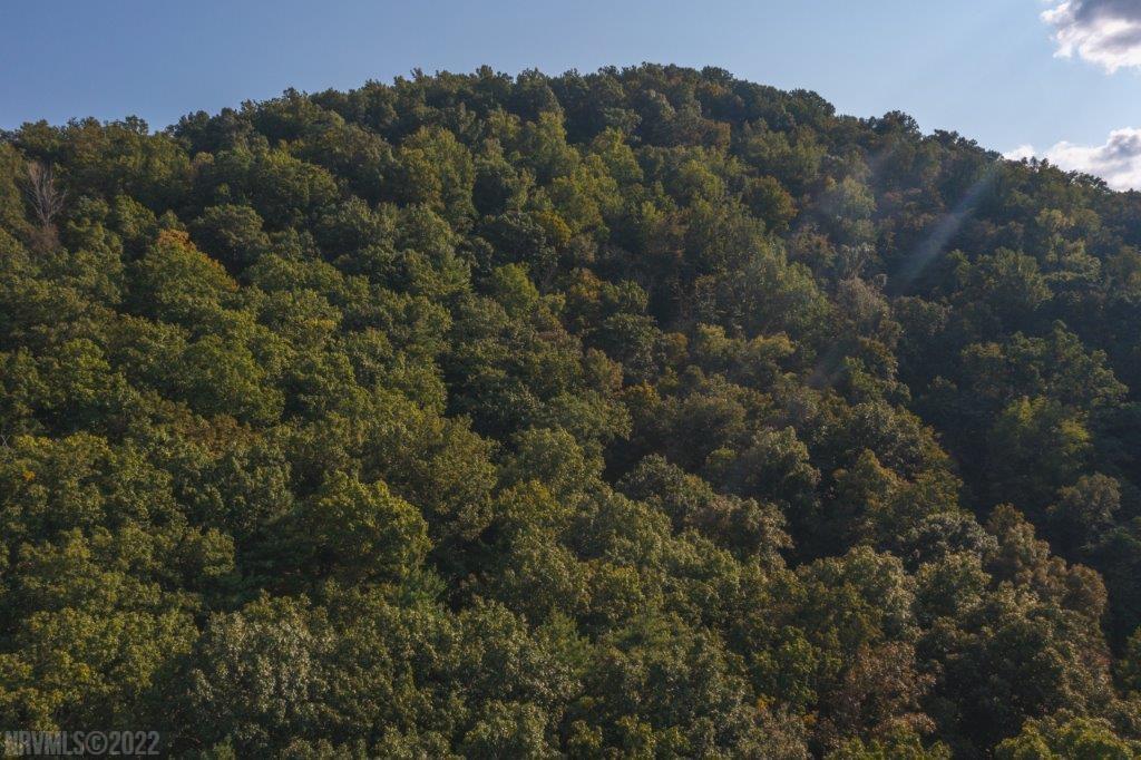 Tbd North Fork Road Elliston, VA 24087 - Photo 5 of 26 Gallery Image 5