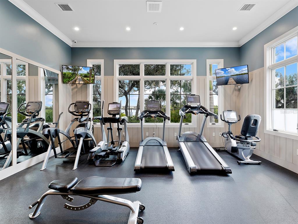 11708 Rive Isle Run Parrish, FL 34219 - Photo 53 of 65 a view of a room with gym equipment