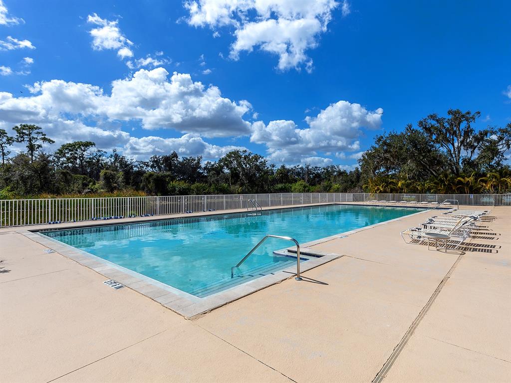 11708 Rive Isle Run Parrish, FL 34219 - Photo 60 of 65 a view of swimming pool with a yard