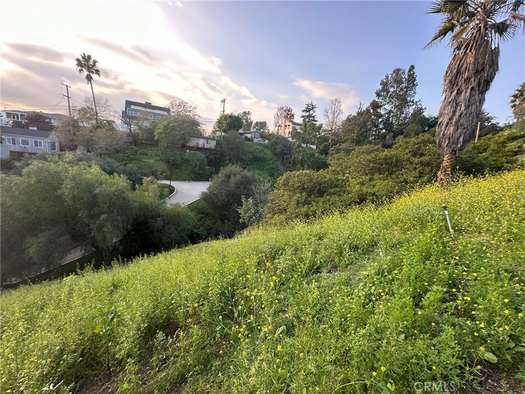 0 Sinclair Avenue Glendale, CA 91206 - Photo 8 of 14 a view of a garden