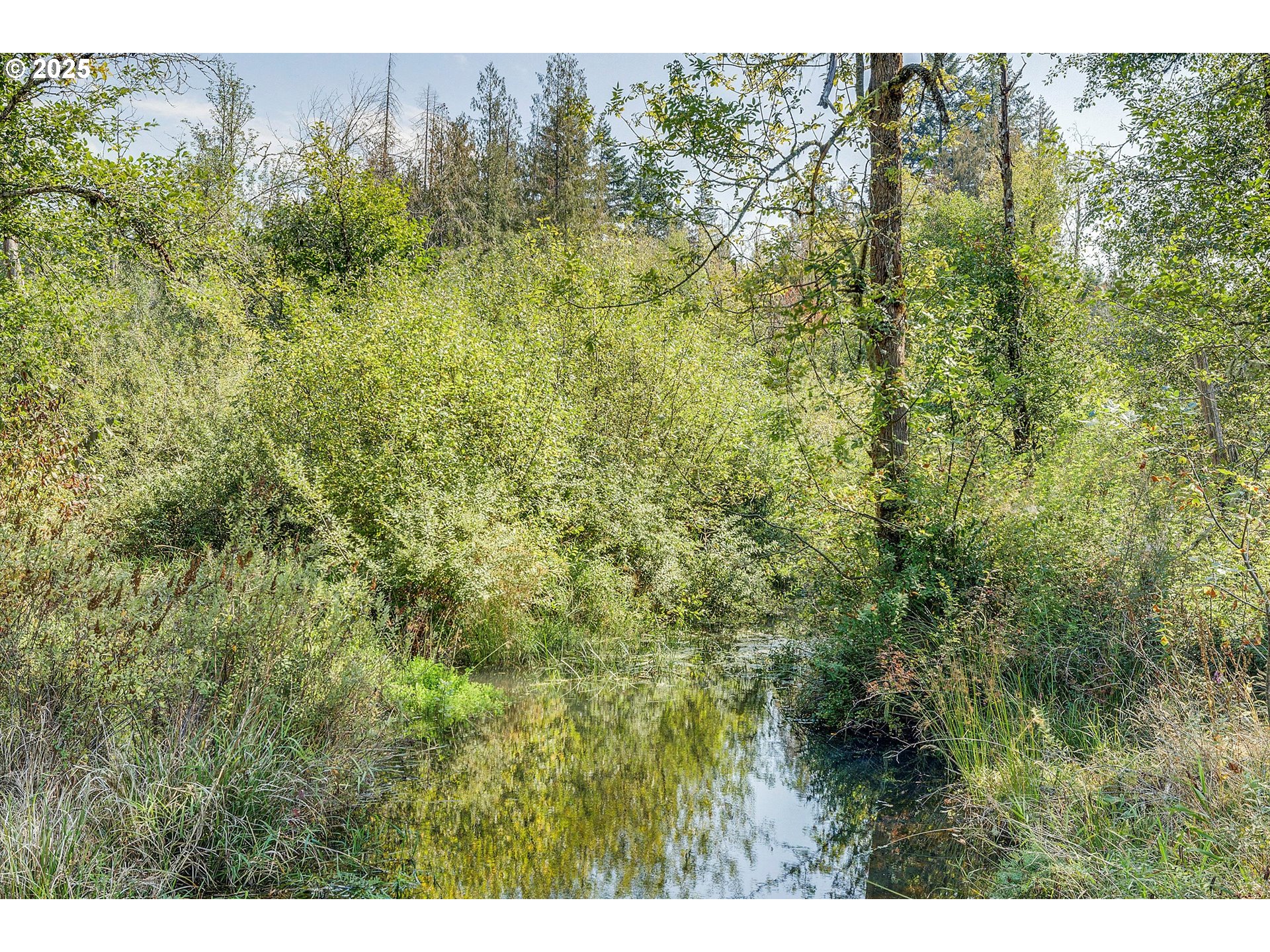 26394 South Gard Road Mulino, OR 97042 - Photo 34 of 37