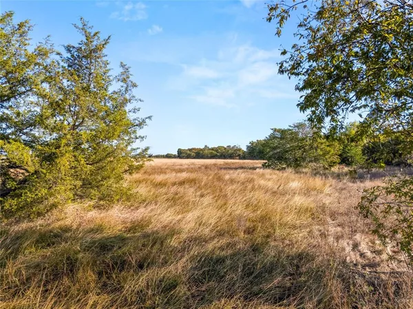 a view of an ocean and beach