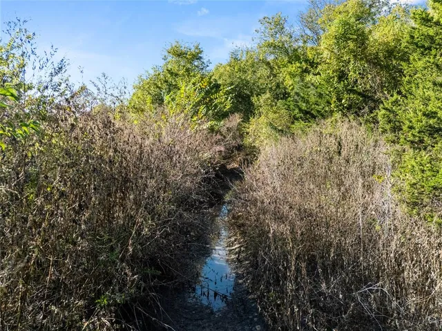 a view of a back yard