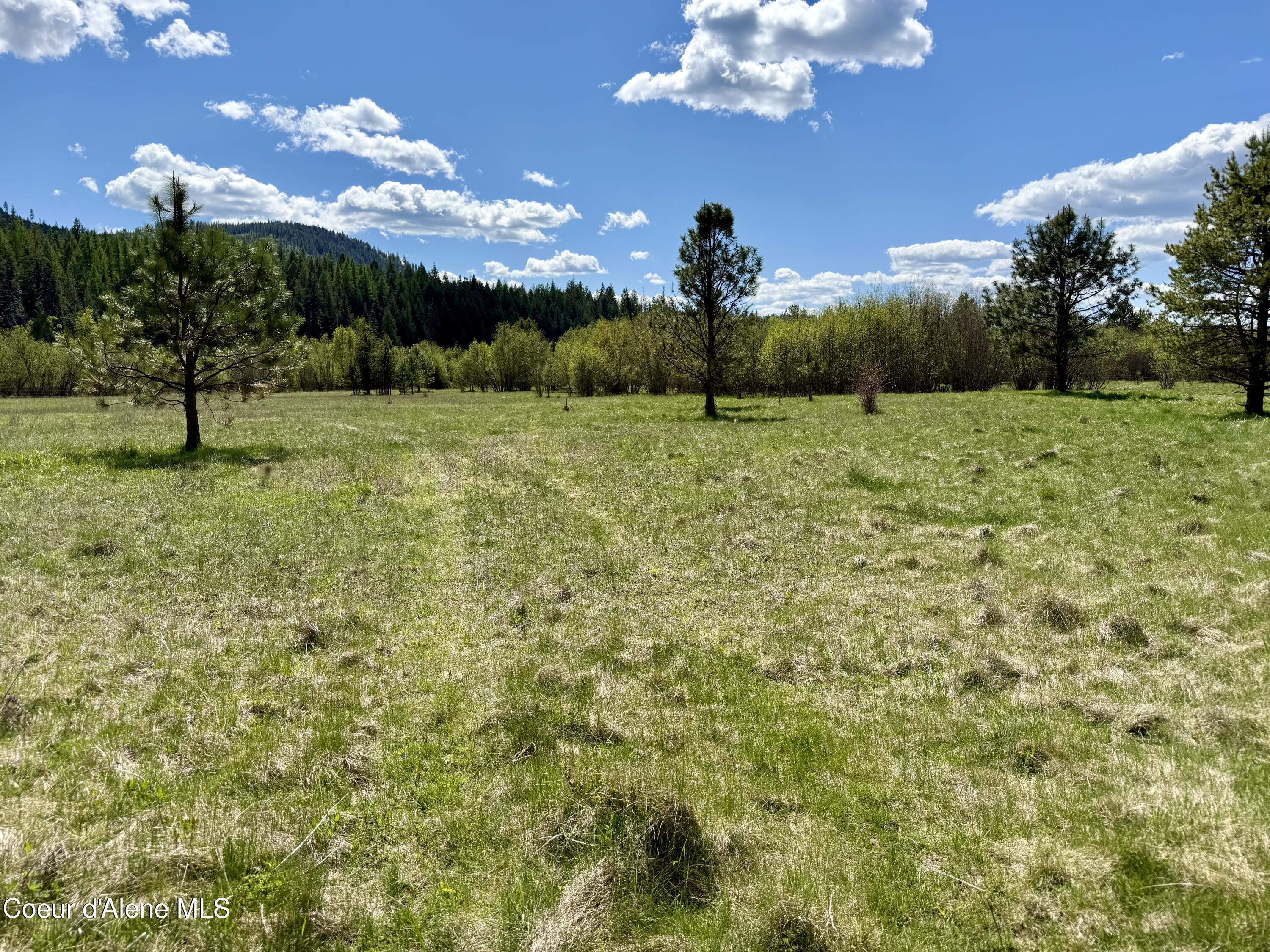 3216 Dufort Road Sagle, ID 83860 - Photo 82 of 99 IMG_1672