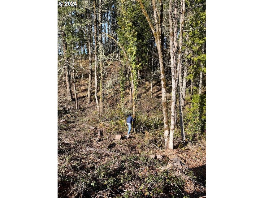 Fox Hollow Eugene, OR 97405 - Photo 6 of 8 a close up of a mirror