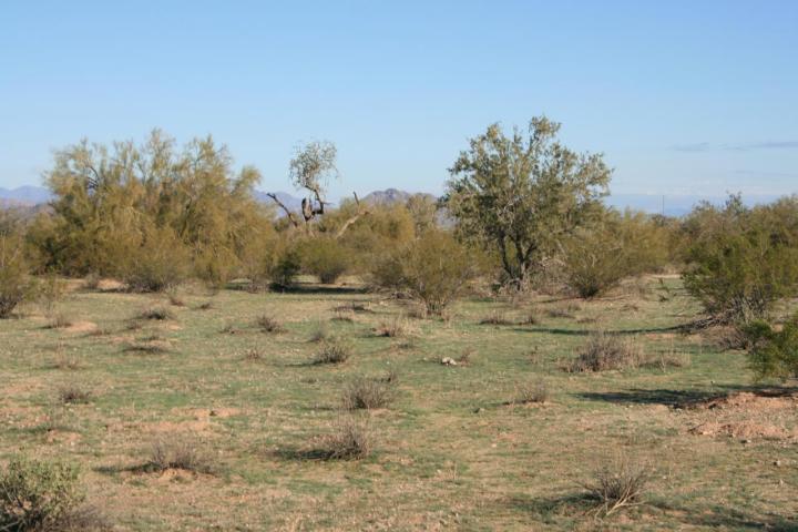 0 West Century Road, Unit 6 Maricopa, AZ 85139 - Photo 1 of 4 1