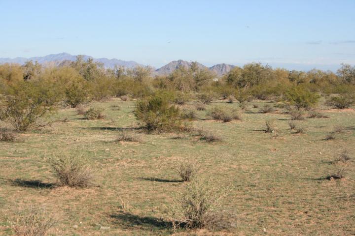 0 West Century Road, Unit 6 Maricopa, AZ 85139 - Photo 2 of 4 2