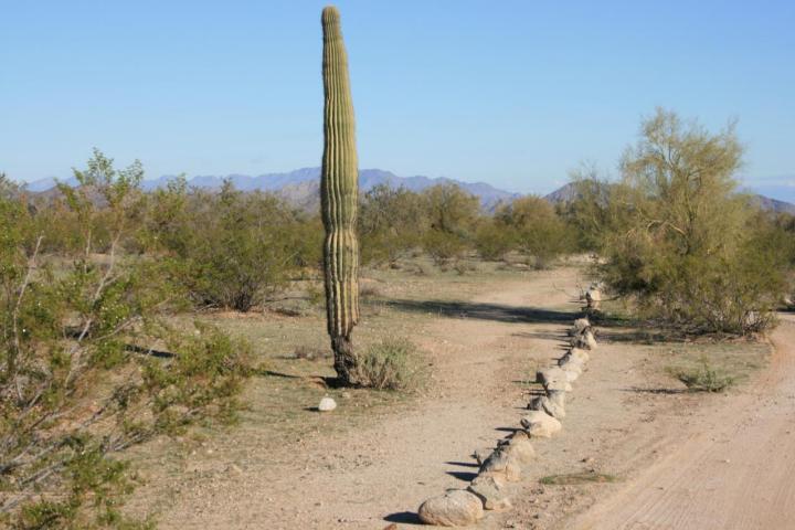 0 West Century Road, Unit 6 Maricopa, AZ 85139 - Photo 3 of 4 3