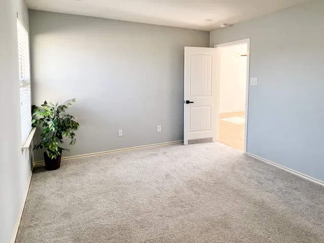 an empty room with potted plants