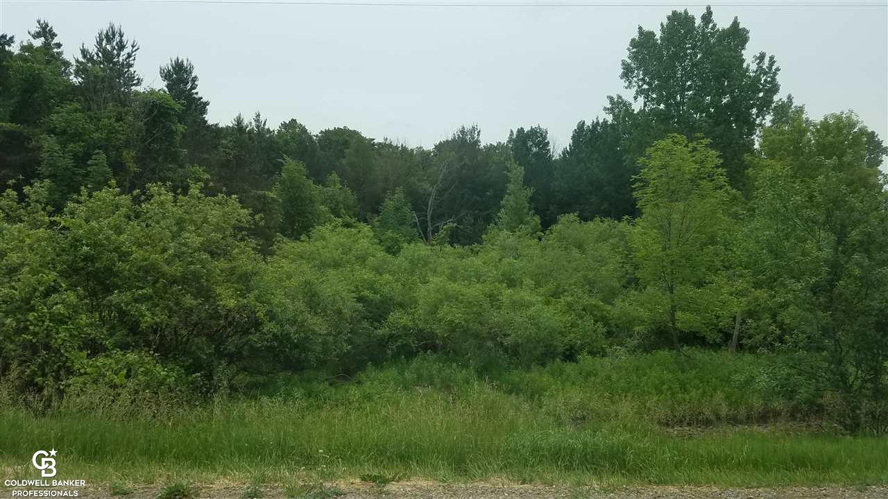 Palms Ville Palms, MI 48465 - Photo 6 of 13