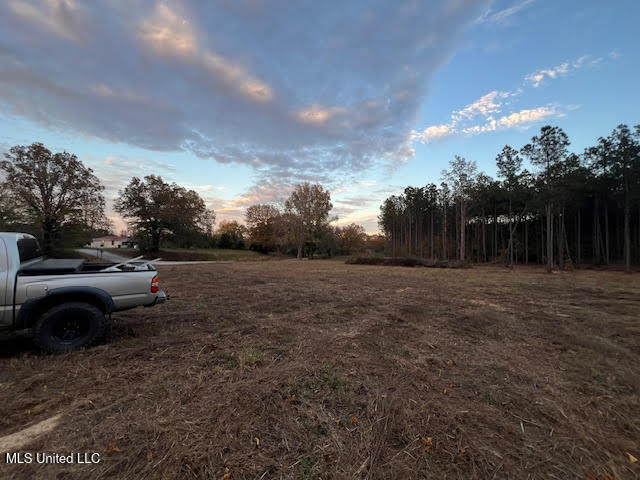 15 Hogan Road Lamar, MS 38642 - Photo 4 of 8 unnamed (2)