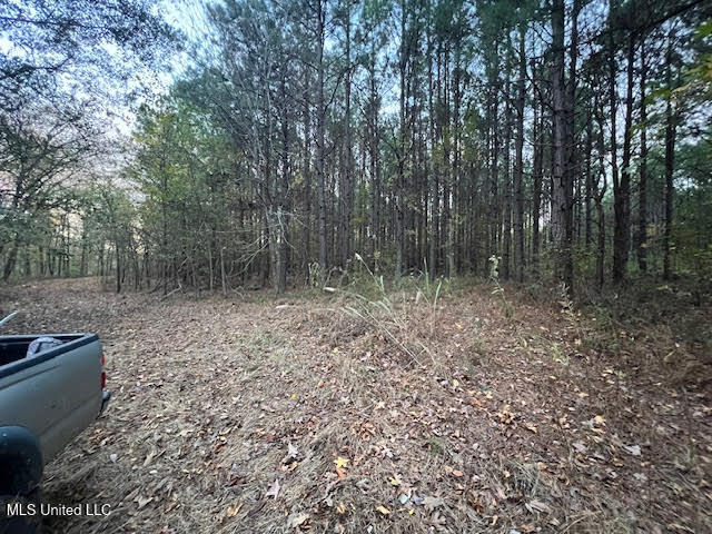 15 Hogan Road Lamar, MS 38642 - Photo 5 of 8 unnamed (3)