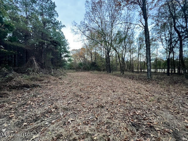 15 Hogan Road Lamar, MS 38642 - Photo 6 of 8 unnamed (4)