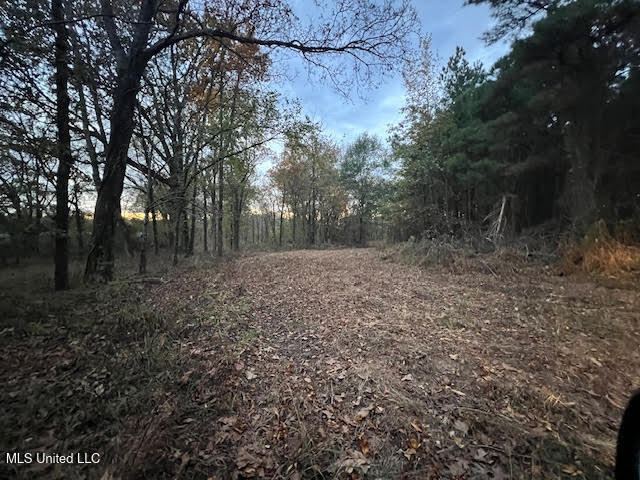 15 Hogan Road Lamar, MS 38642 - Photo 7 of 8 unnamed (5)