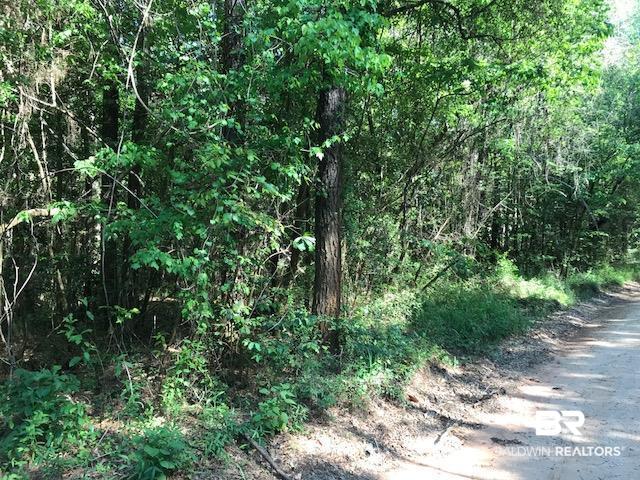 0 Oak Grove Road Eight Mile, AL 36613 - Photo 4 of 6